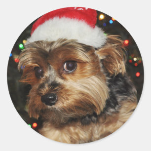 Sticker Rond Cute Yorkie avec Santa Hat