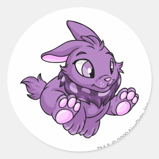 Sticker Rond Cybunny pourpre (Devant)