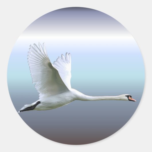Sticker Rond Cygne blanc en plein vol (Devant)