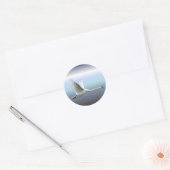 Sticker Rond Cygne blanc en plein vol (Enveloppe)