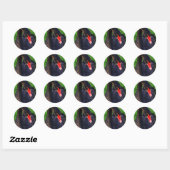 Sticker Rond Cygne noir australien (Feuille)