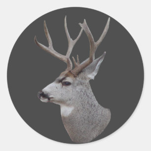 Sticker Rond D27 Mule Deer Buck