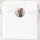 Sticker Rond Dachshund (Sac)