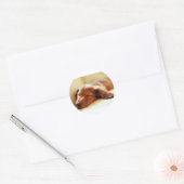 Sticker Rond Dachshund dormir (Enveloppe)