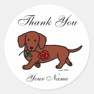 Sticker Rond Dachshund et un dessin animé sur les fleurs