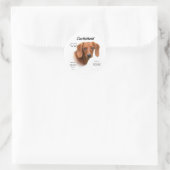 Sticker Rond Dachshund (lisse) (Sac)