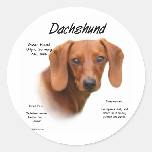 Sticker Rond Dachshund (lisse) (Devant)