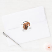 Sticker Rond Dachshund (lisse) (Enveloppe)