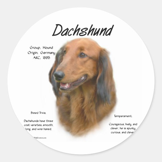 Sticker Rond Dachshund (longhair) Conception de l'histoire (Devant)