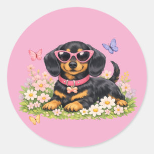Sticker Rond Dachshund mignon au printemps dans des champs de f