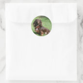Sticker Rond Dachshund miniature au chocolat et au tan aux chev (Sac)