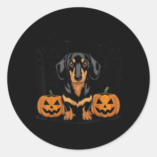 Sticker Rond Dachshund noir et feu avec décoration d'Halloween