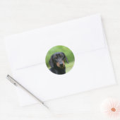 Sticker Rond Dachshund noir et tan Miniture 1 (Enveloppe)