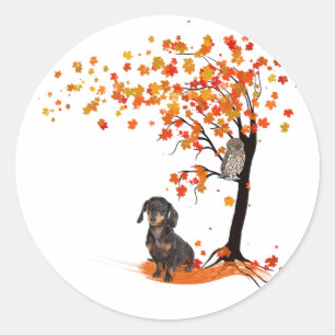 Sticker Rond Dachshund Owl Et Fall Tree Dachshund Lover Automne