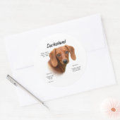 Sticker Rond Dachshund Smooth Rencontrez la race - Customisé (Enveloppe)