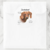Sticker Rond Dachshund Smooth Rencontrez la race - Customisé (Sac)