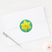 Sticker Rond Daffodile gallois - IV (Enveloppe)