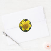 Sticker Rond Daffodique éclairé (Enveloppe)
