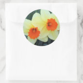 Sticker Rond Daffodiques jaunes et orange (Sac)