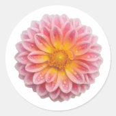 Sticker Rond Dahlia rose et Dew gouttes mignonnes (Devant)
