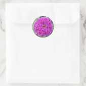 Sticker Rond Dahlia violet (Sac)