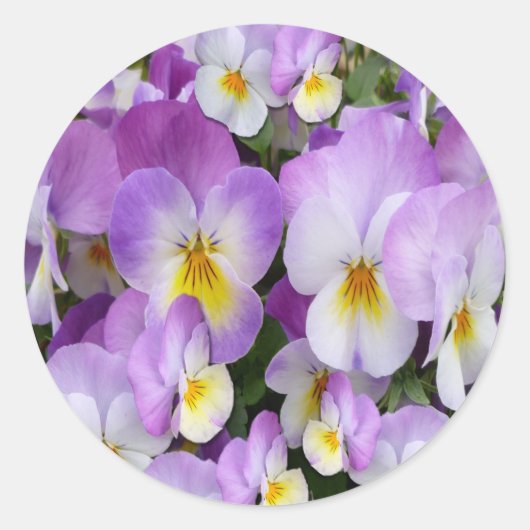 Sticker Rond Dainty Violas (Devant)