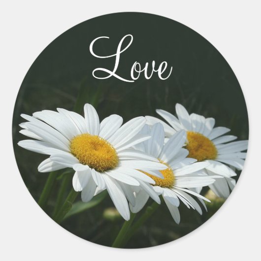 Sticker Rond Daisies Love (Devant)