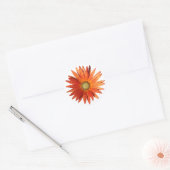 Sticker Rond Daisy africain (Enveloppe)