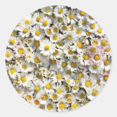 Sticker Rond Daisy Daisy (Devant)