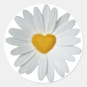 Sticker Rond Daisy Heart
