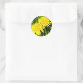 Sticker Rond Dandelions (Sac)