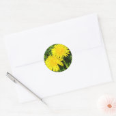 Sticker Rond Dandelions (Enveloppe)