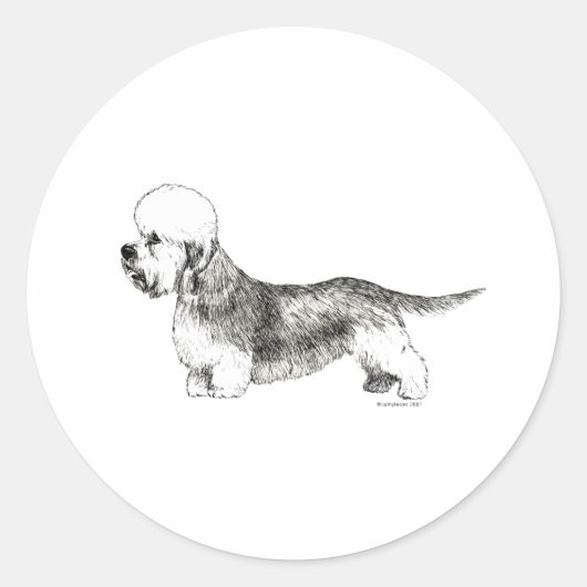 Sticker Rond Dandie Dinmont Terrier (Devant)