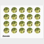 Sticker Rond Dans L'Herbe (Feuille)