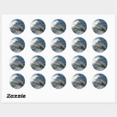 Sticker Rond Dauphin (Feuille)