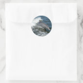 Sticker Rond Dauphin (Sac)