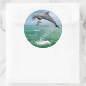 Sticker Rond Dauphin dans la nature sauter et jouer (Sac)