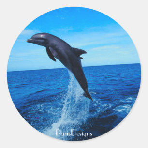Sticker Rond Dauphin de nez de bouteille