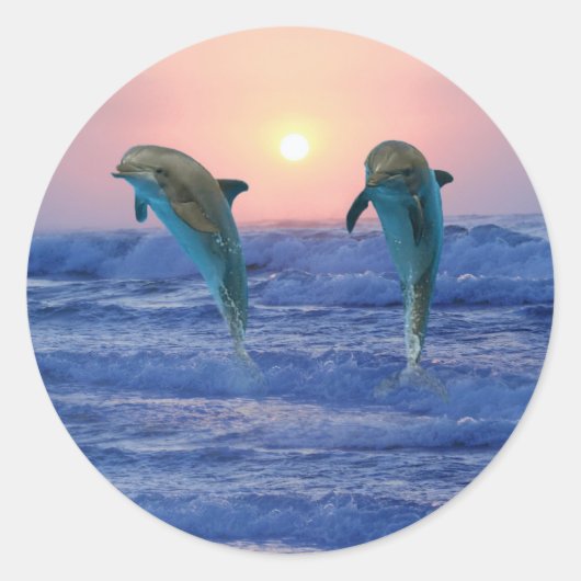 Sticker Rond Dauphins au lever du soleil (Devant)