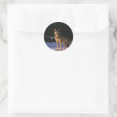 Sticker Rond de beaux animaux sauvages (Sac)