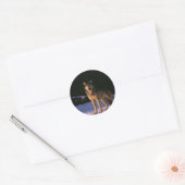 Sticker Rond de beaux animaux sauvages (Enveloppe)
