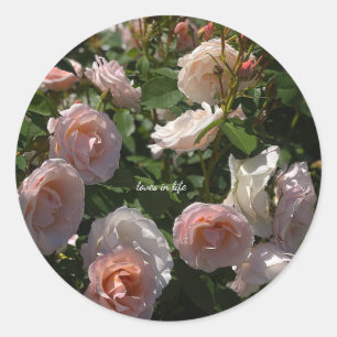 Sticker Rond De jolies roses rose clair