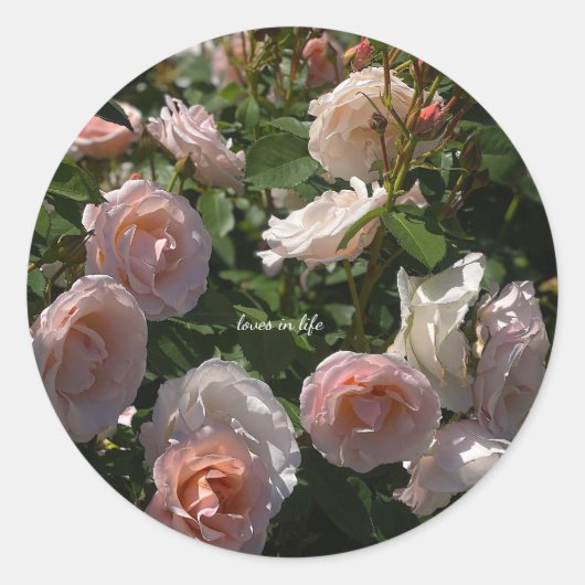 Sticker Rond De jolies roses rose clair (Devant)
