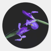 Sticker rond de la photo à double iris (Devant)