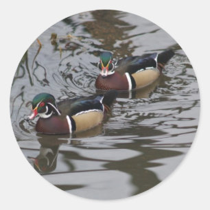Sticker Rond De Magnifiques Canards En Bois Coloré En Photo D'É