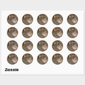 Sticker Rond Deas L'Étoile (Feuille)