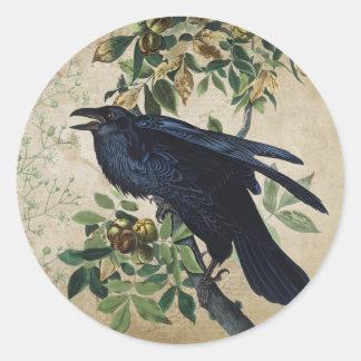 Sticker Rond Découpe de corbeau victorien vintage - Royaume got