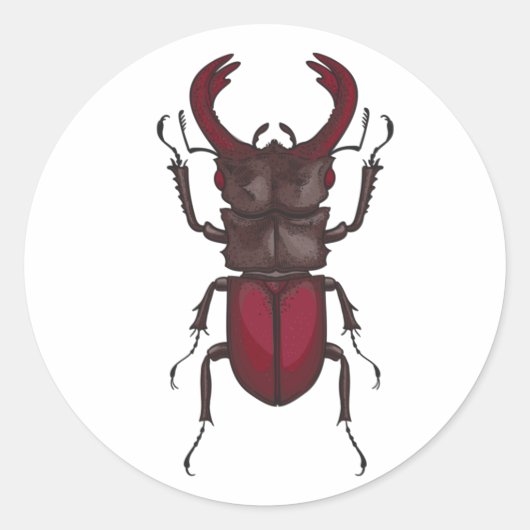 Sticker Rond Dendroctone du pin (Devant)