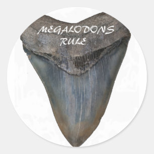 Sticker Rond Dent de requin Megalodon