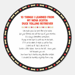 Sticker Rond Des choses amusantes à apprendre de la Nouvelle-